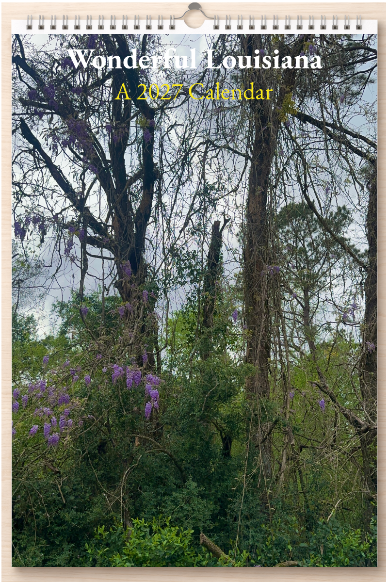 Wonderful Louisiana: A 2027 Calendar