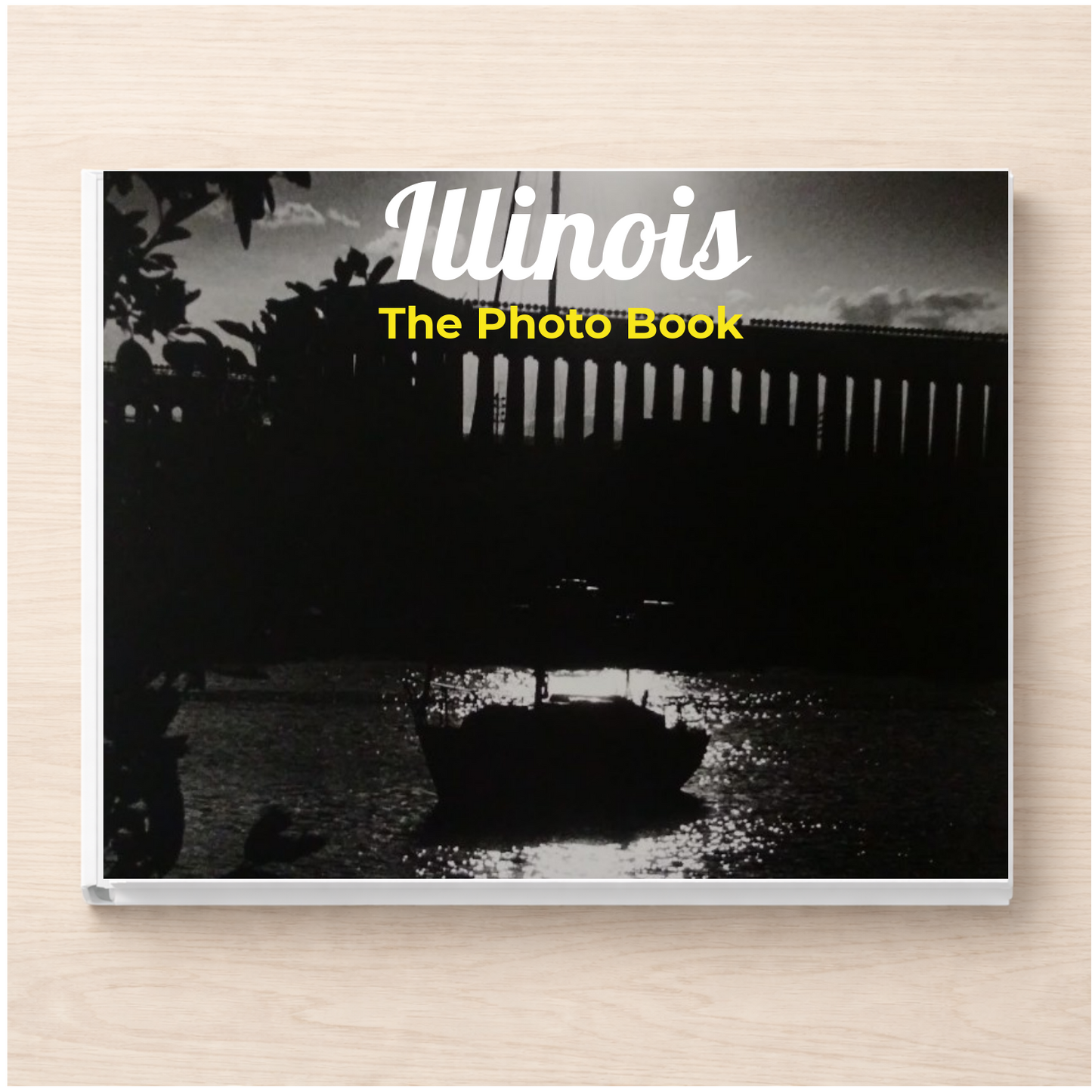 Illinois: The Photo Book