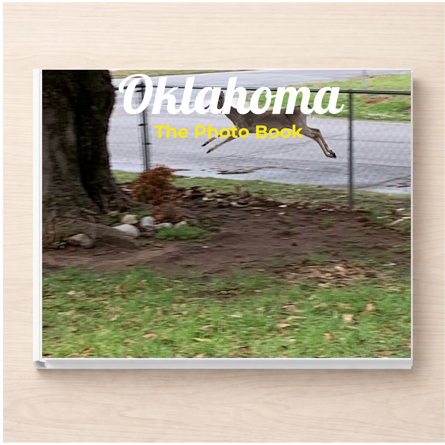 Oklahoma: The Photo Book
