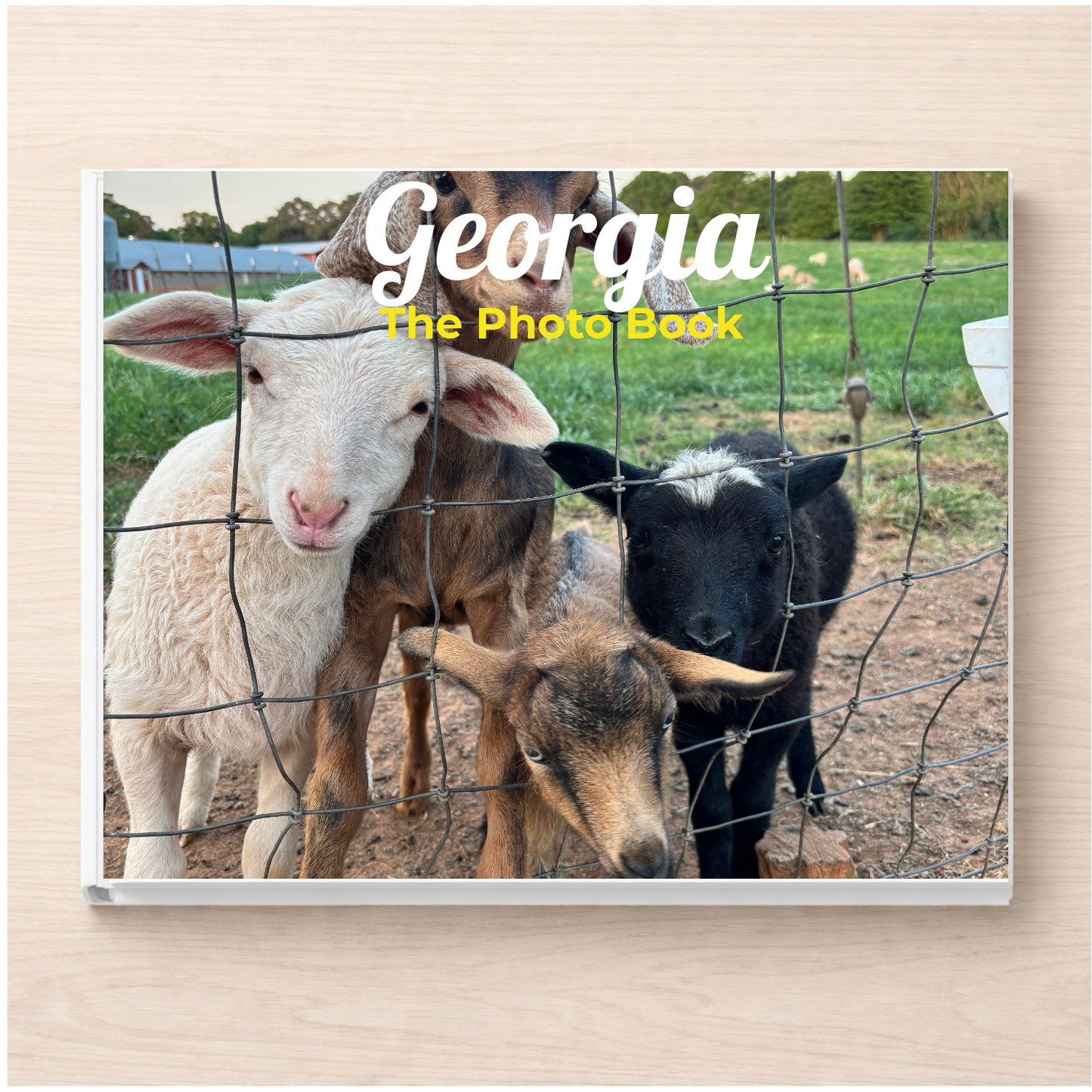 Georgia: The Photo Book