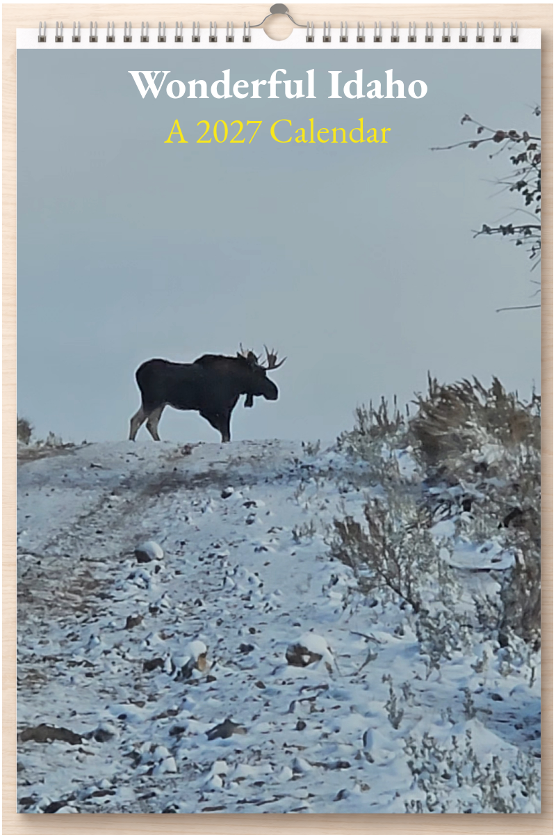 Wonderful Idaho: A 2027 Calendar