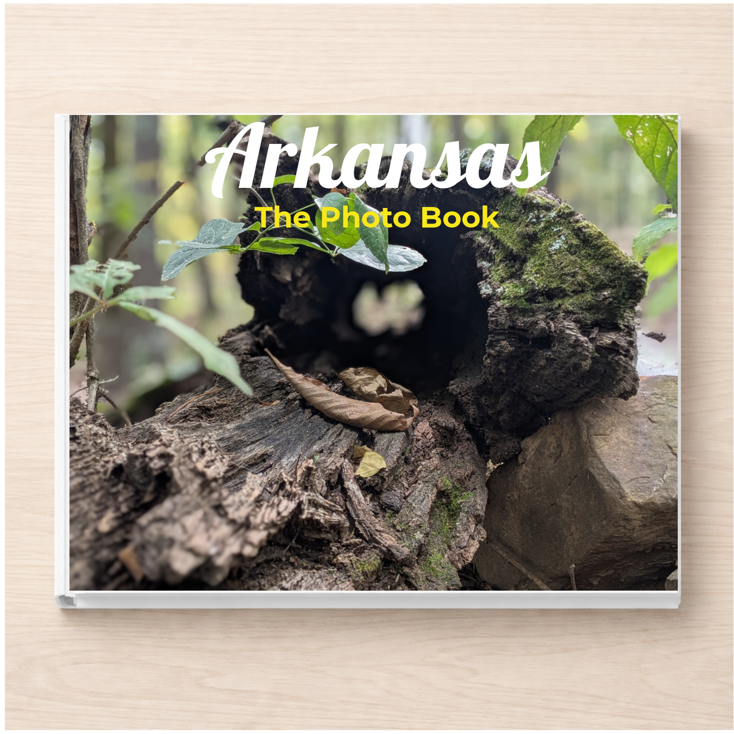 Arkansas: The Photo Book