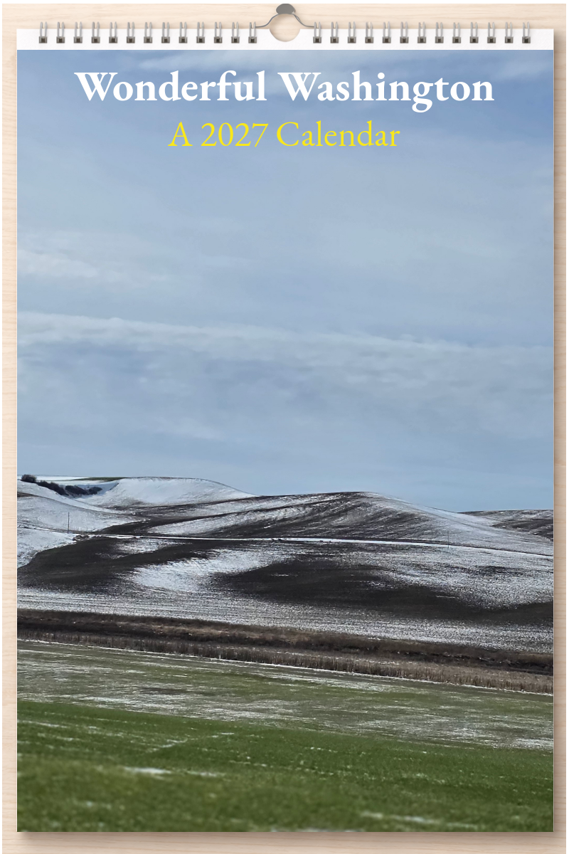 Wonderful Washington: A 2027 Calendar
