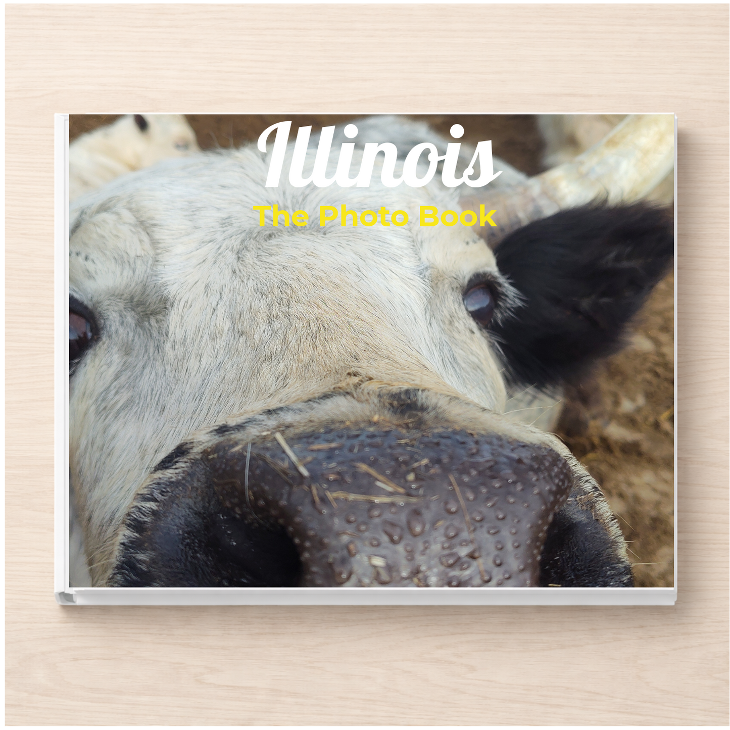 Illinois: The Photo Book