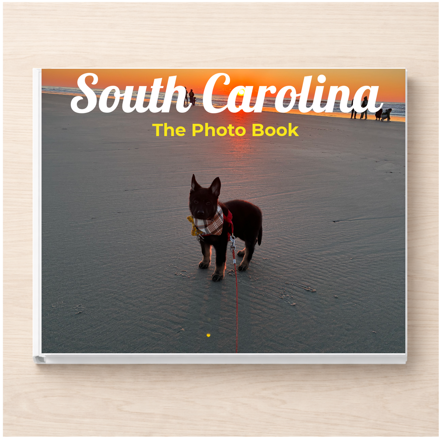 South Carolina: The Photo Book