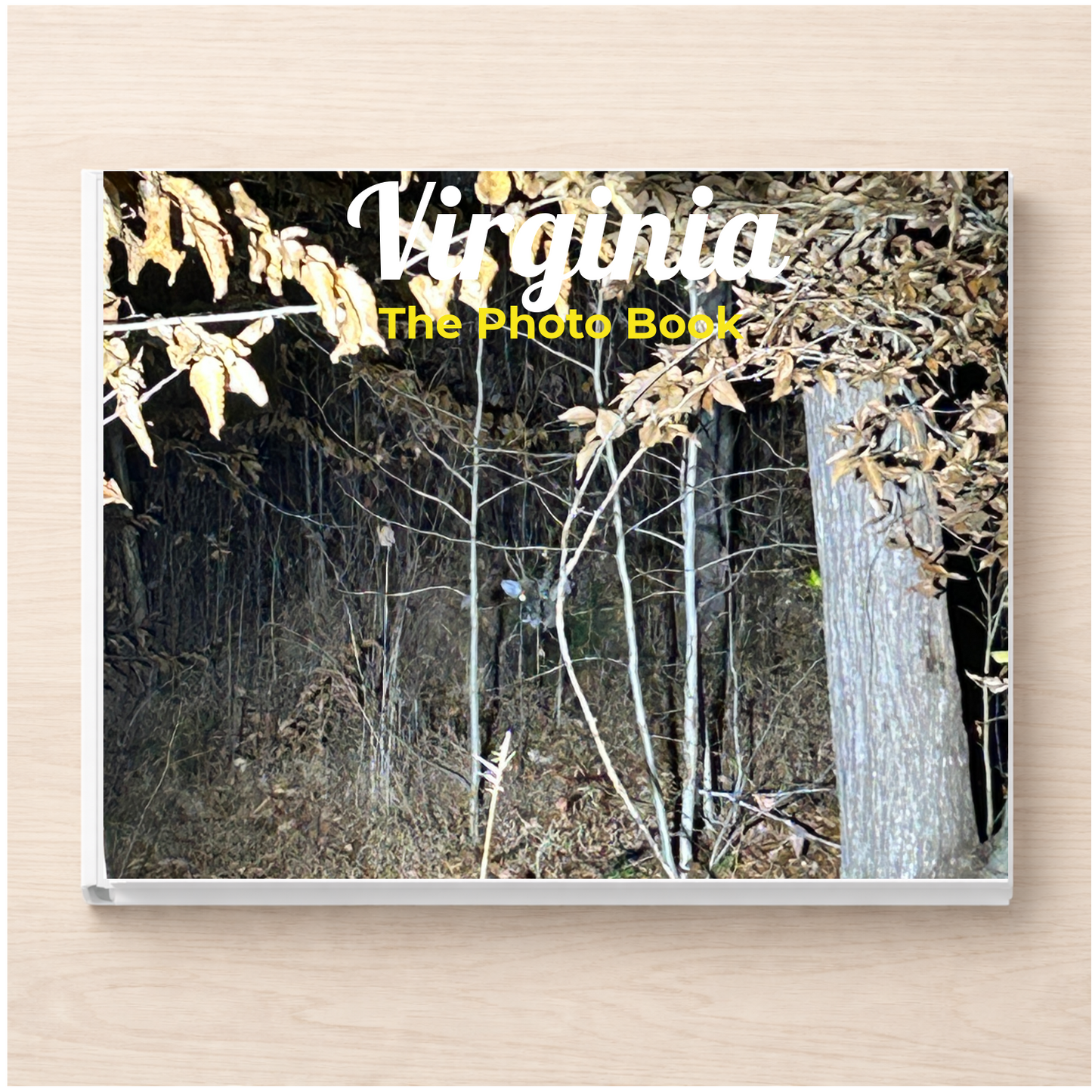 Virginia: The Photo Book