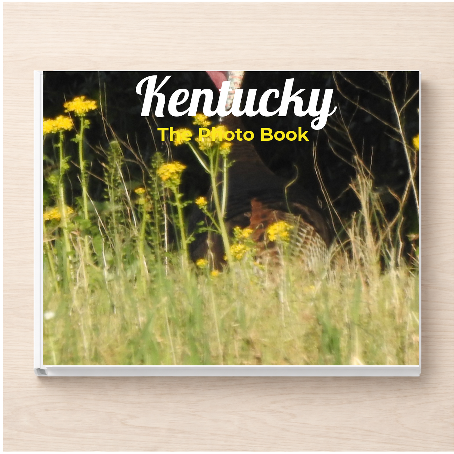 Kentucky: The Photo Book