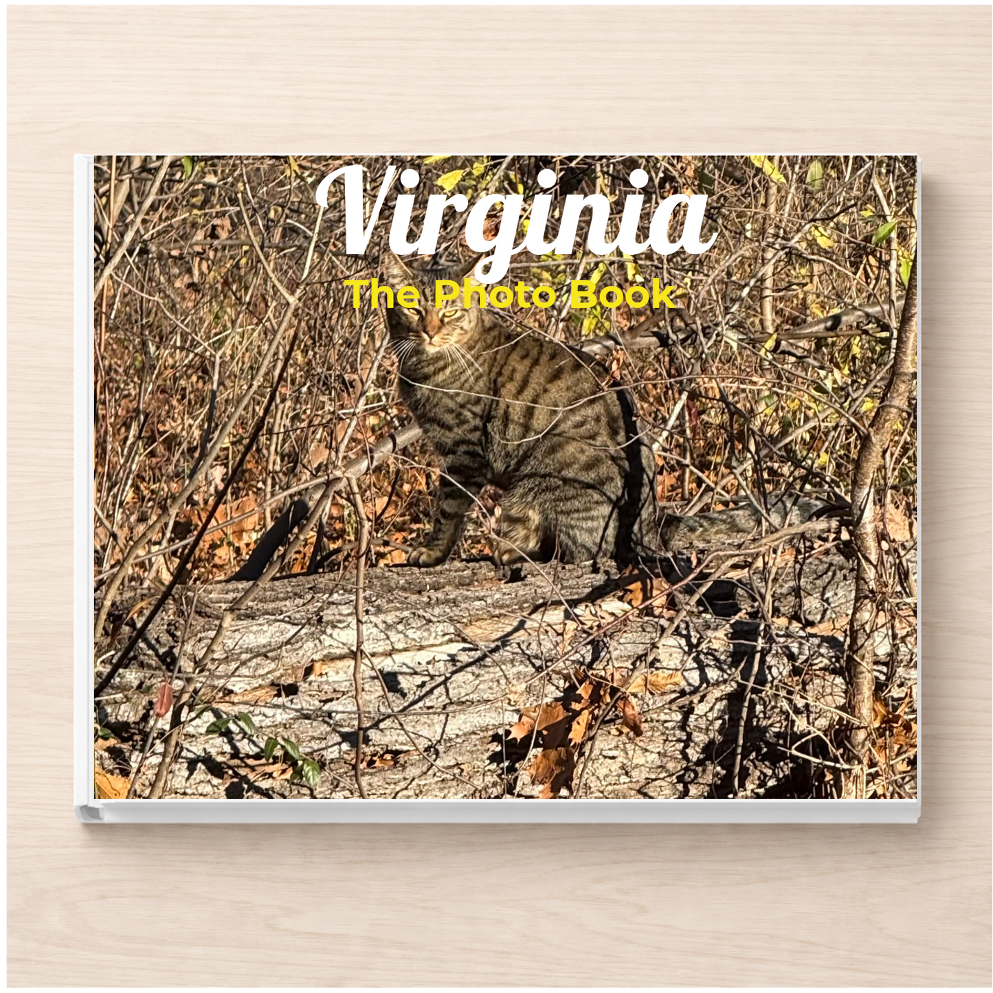 Virginia: The Photo Book