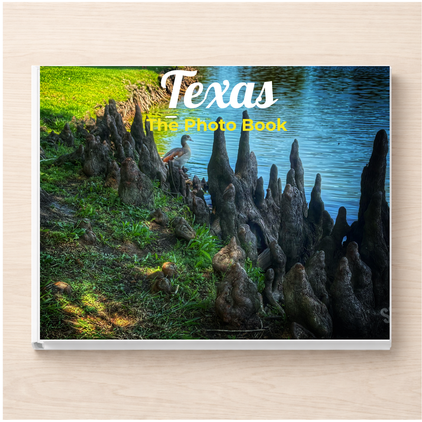 Texas: The Photo Book