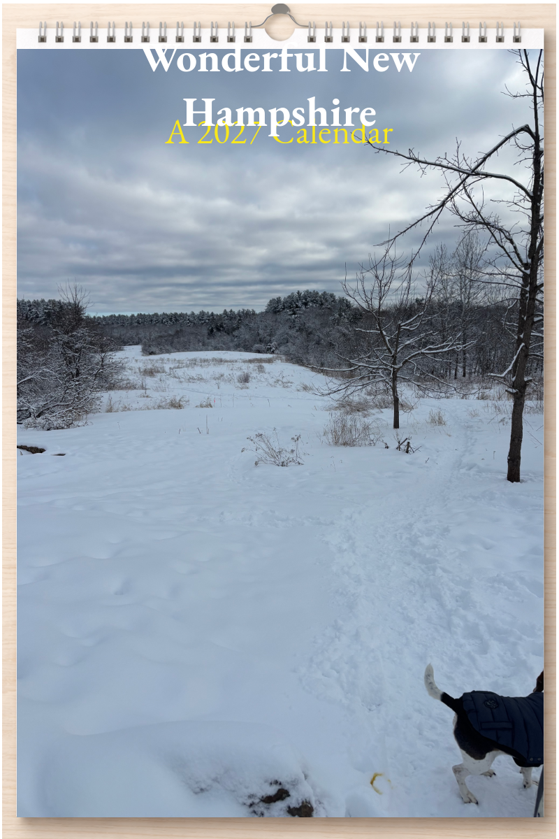 Wonderful New Hampshire: A 2027 Calendar