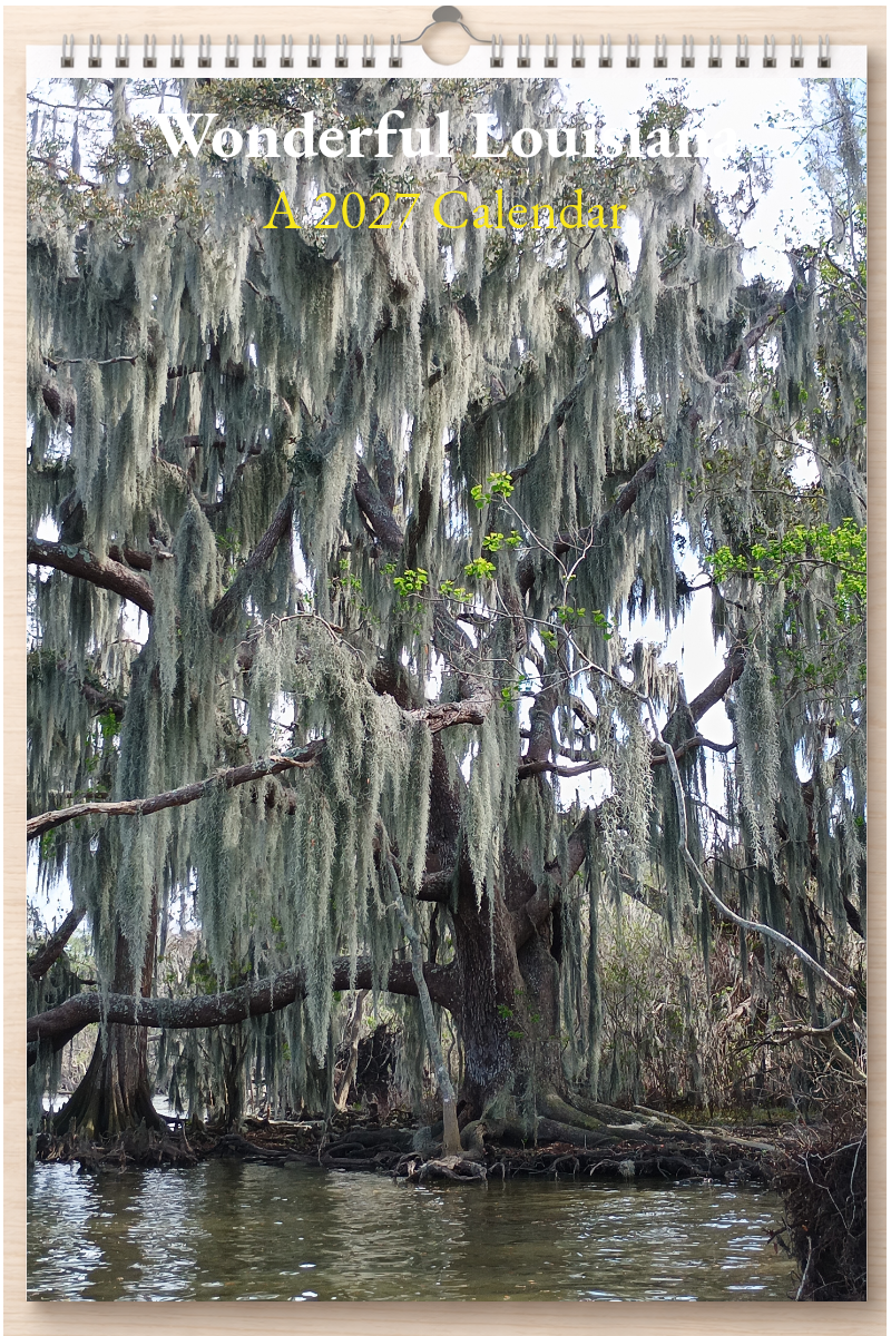 Wonderful Louisiana: A 2027 Calendar