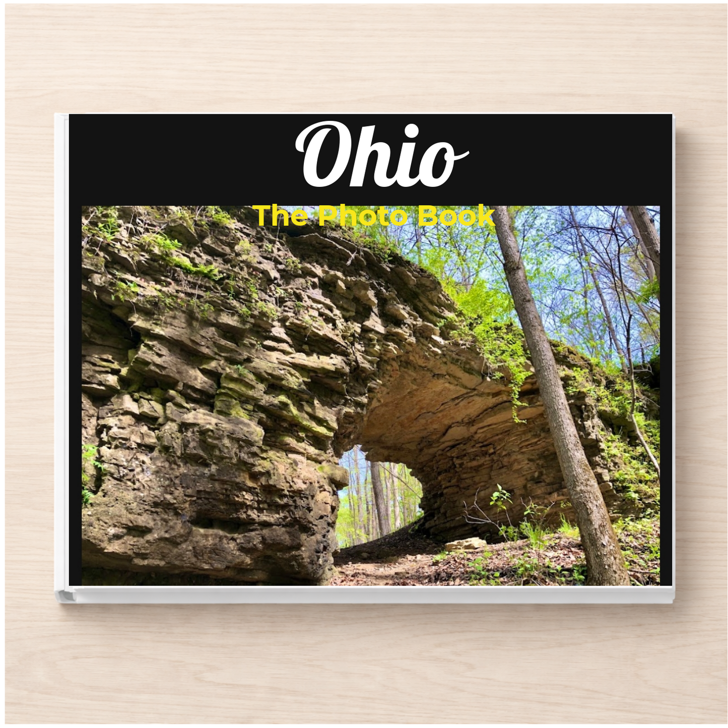 Ohio: The Photo Book