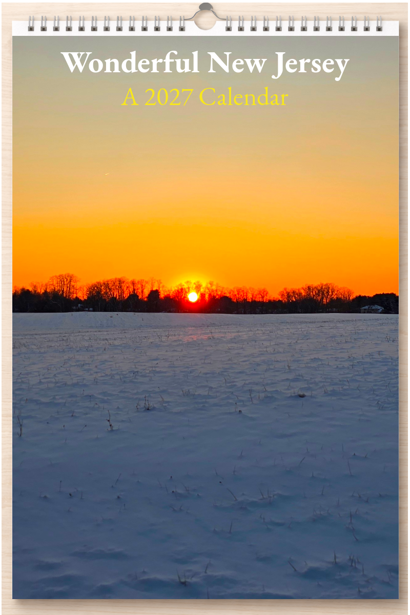 Wonderful New Jersey: A 2027 Calendar