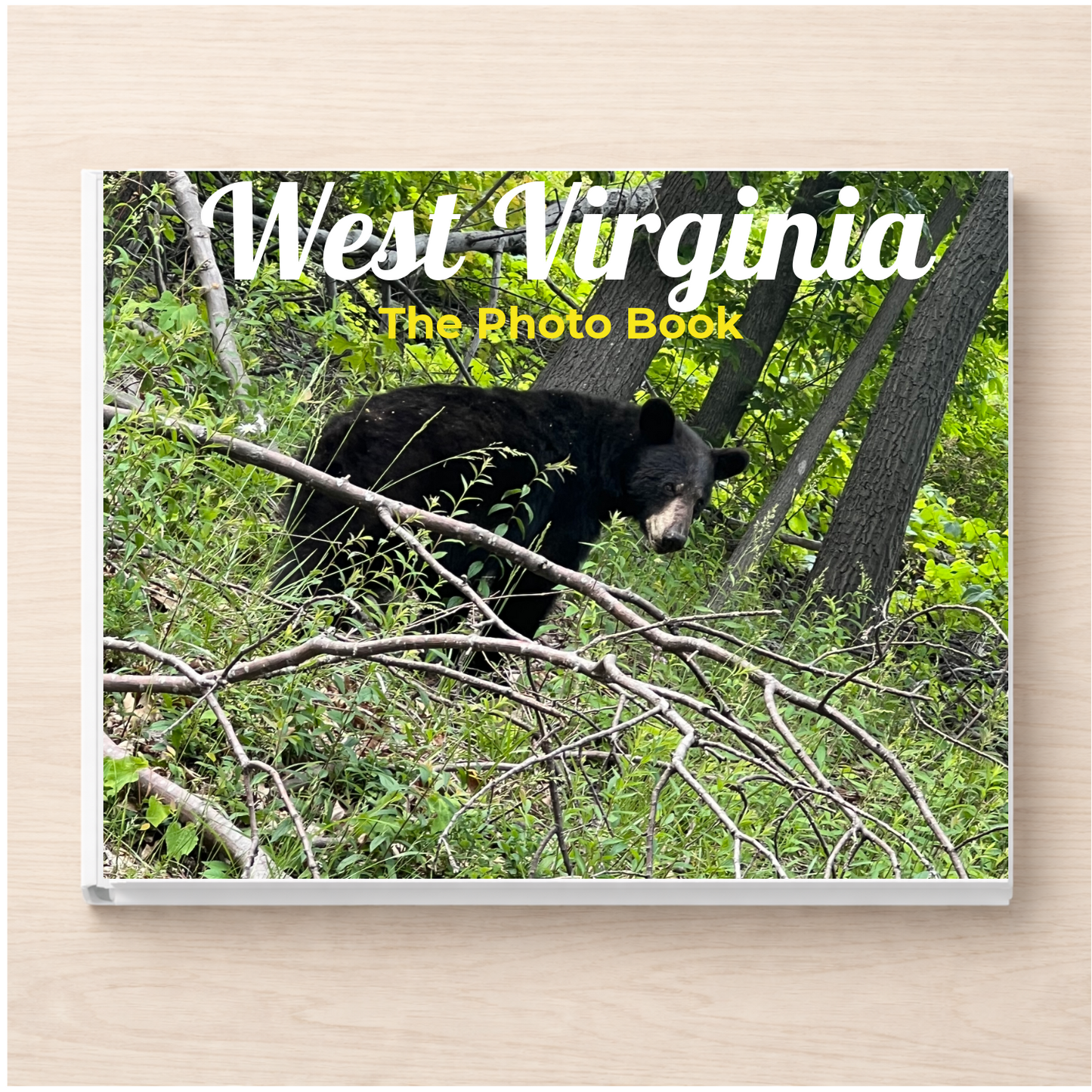 West Virginia: The Photo Book