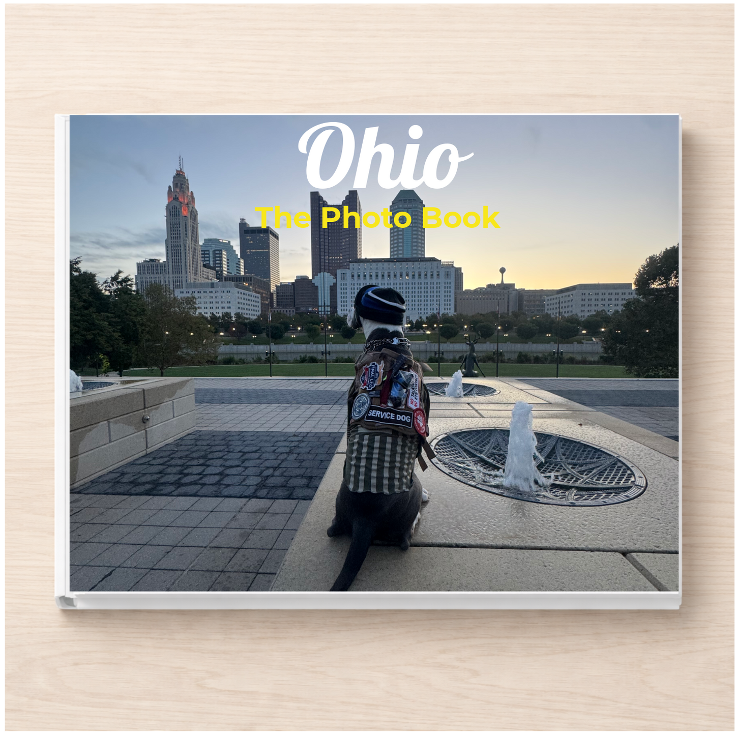 Ohio: The Photo Book