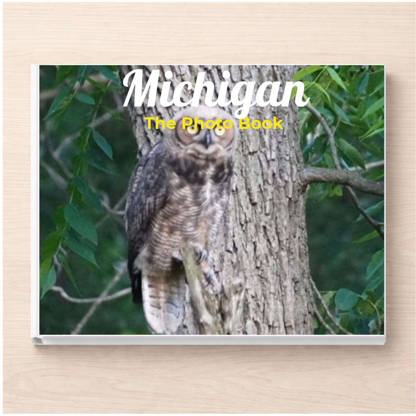 Michigan: The Photo Book