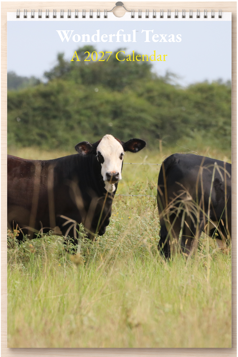 Wonderful Texas: A 2027 Calendar