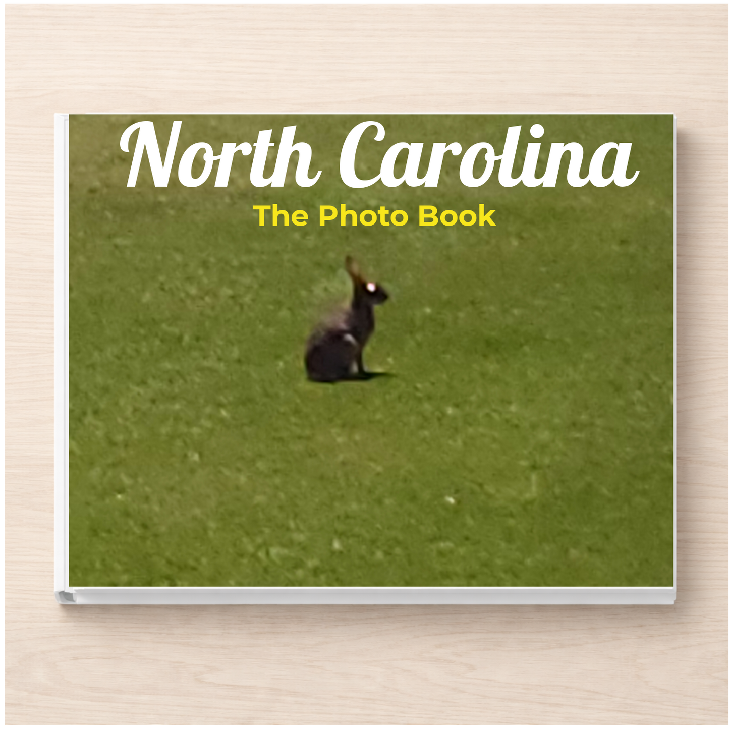 North Carolina: The Photo Book