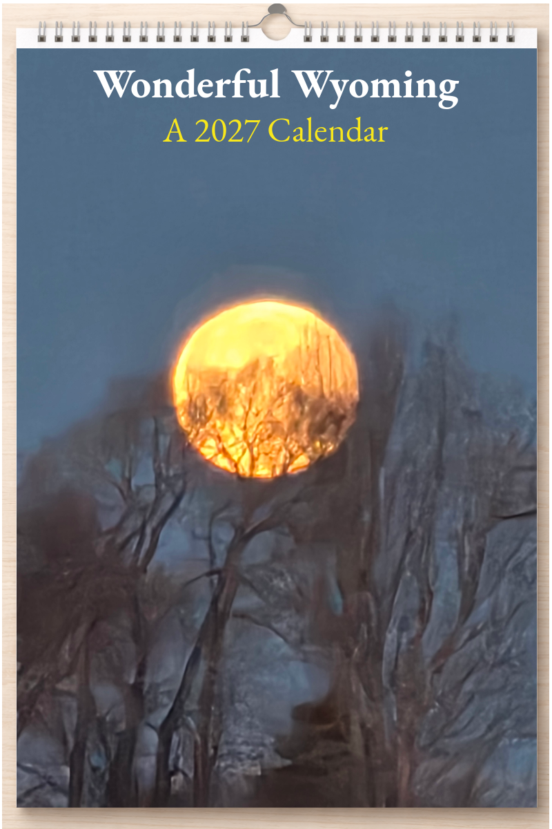 Wonderful Wyoming: A 2027 Calendar
