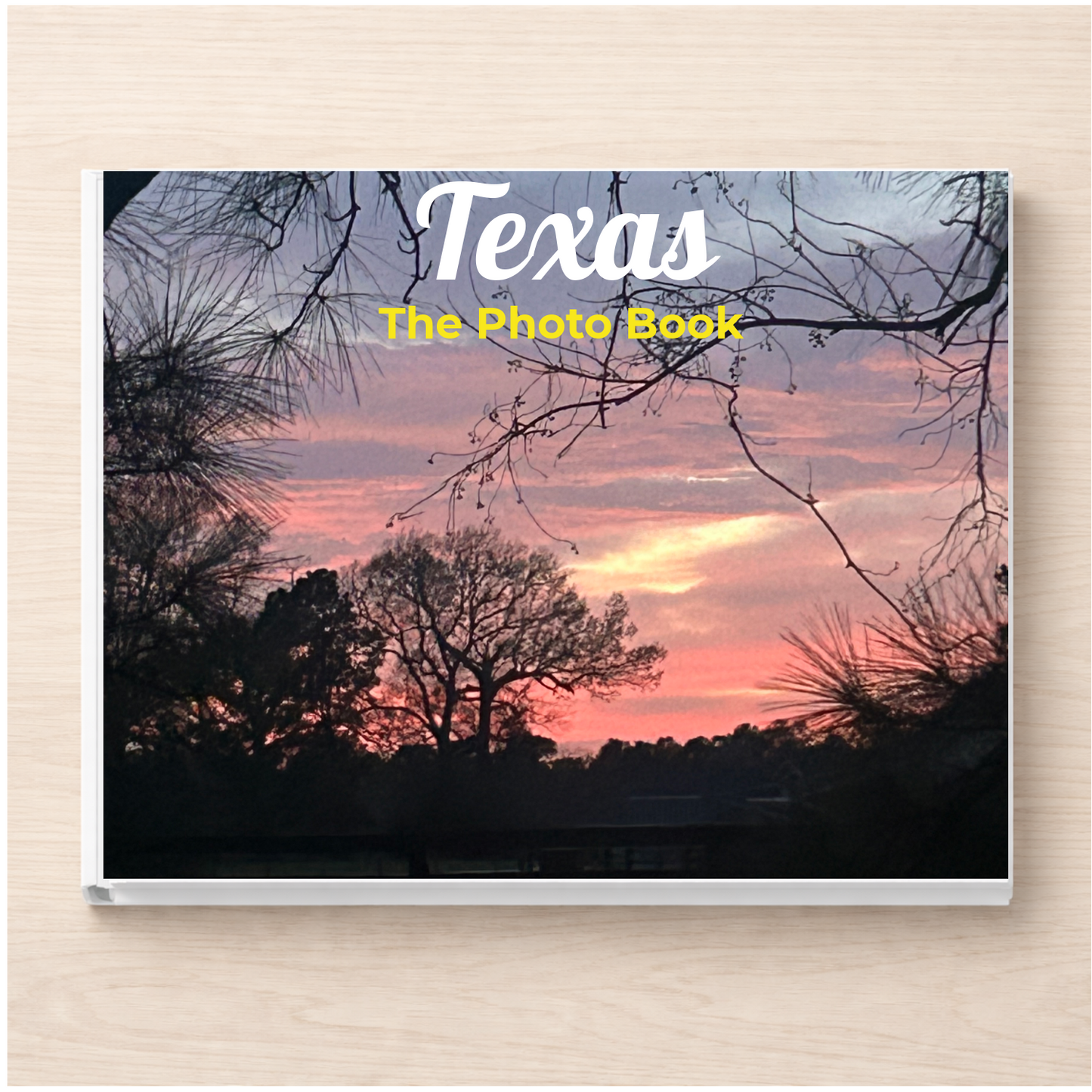 Texas: The Photo Book
