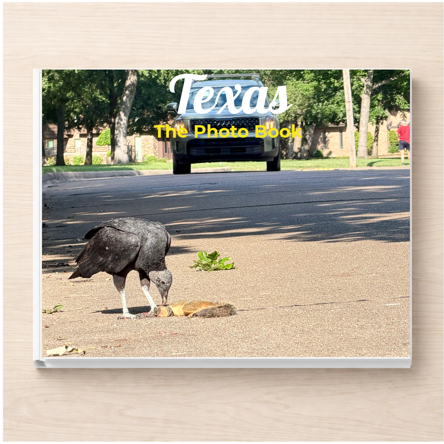 Texas: The Photo Book