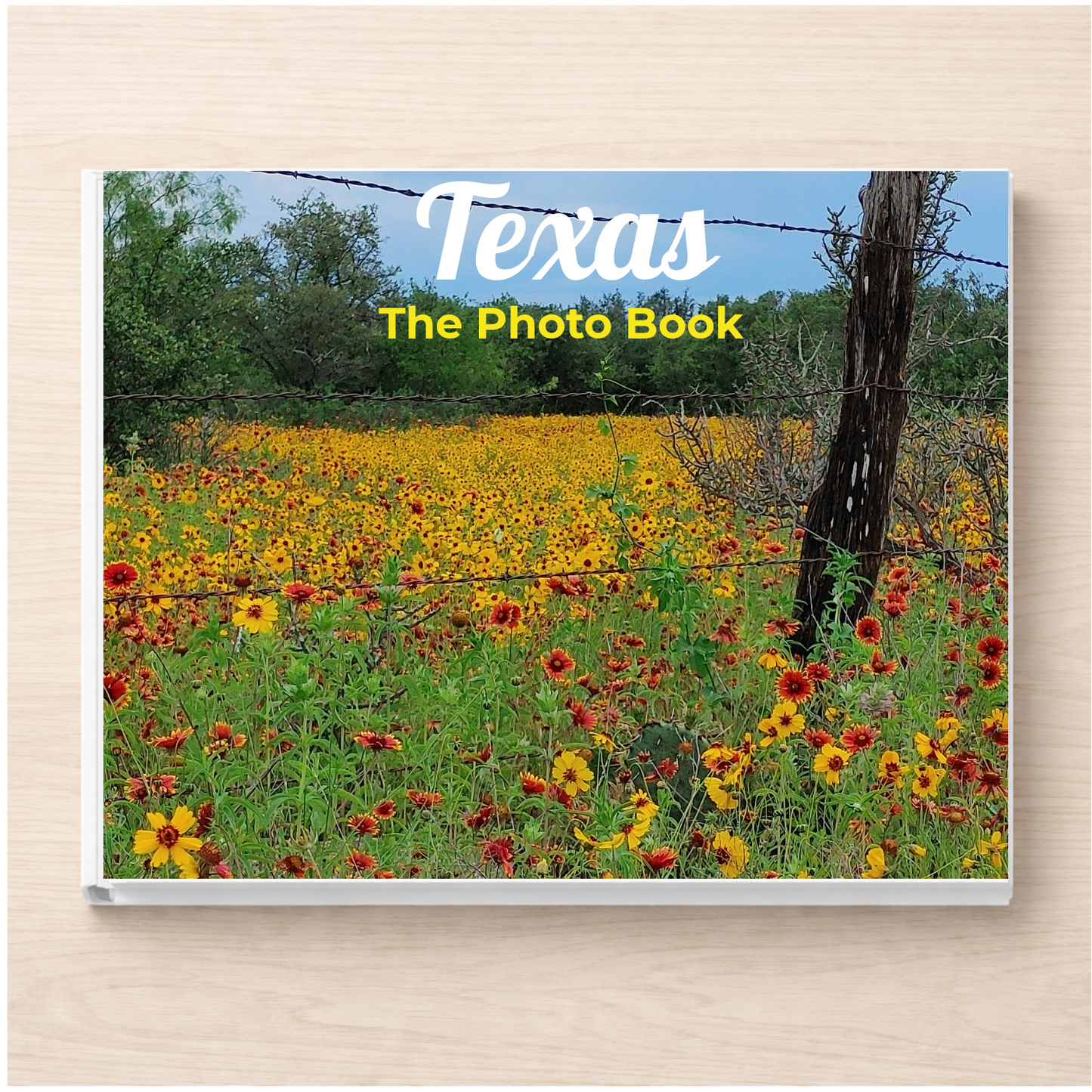 Texas: The Photo Book