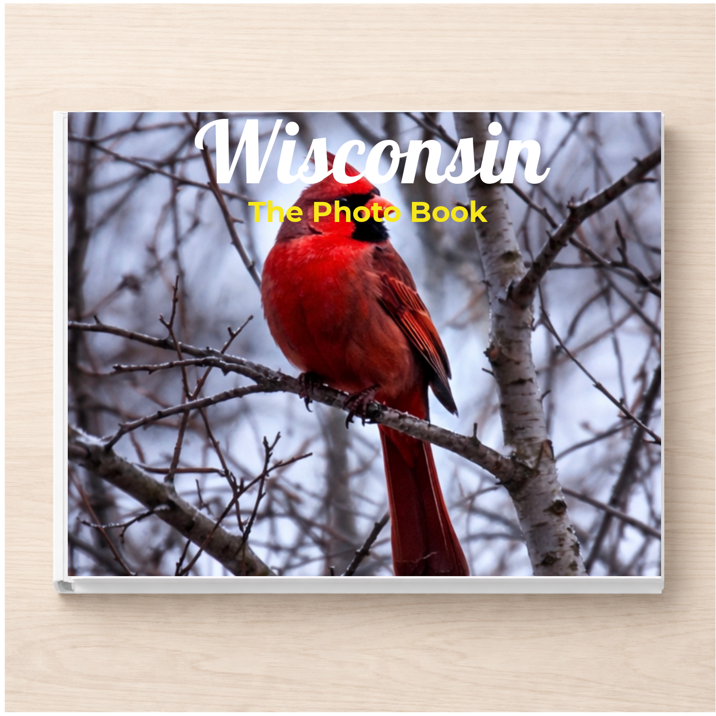 Wisconsin: The Photo Book