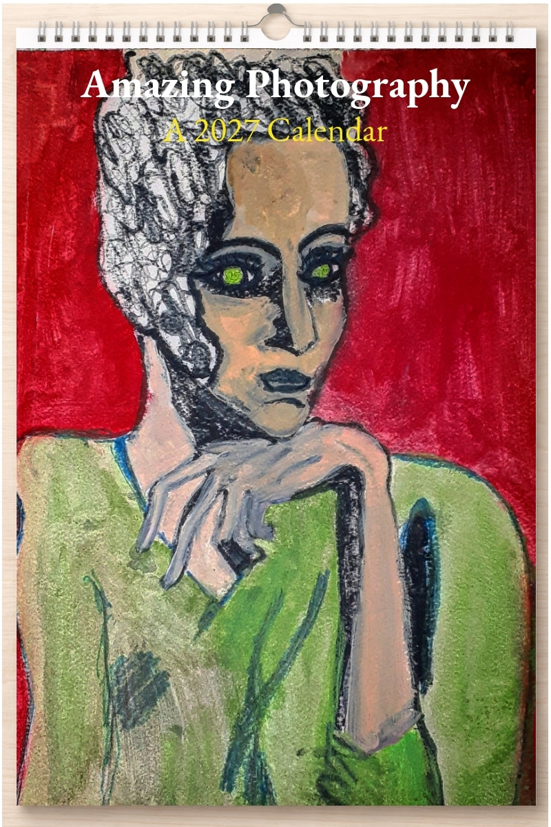 Amazing Photography: A 2027 Calendar
