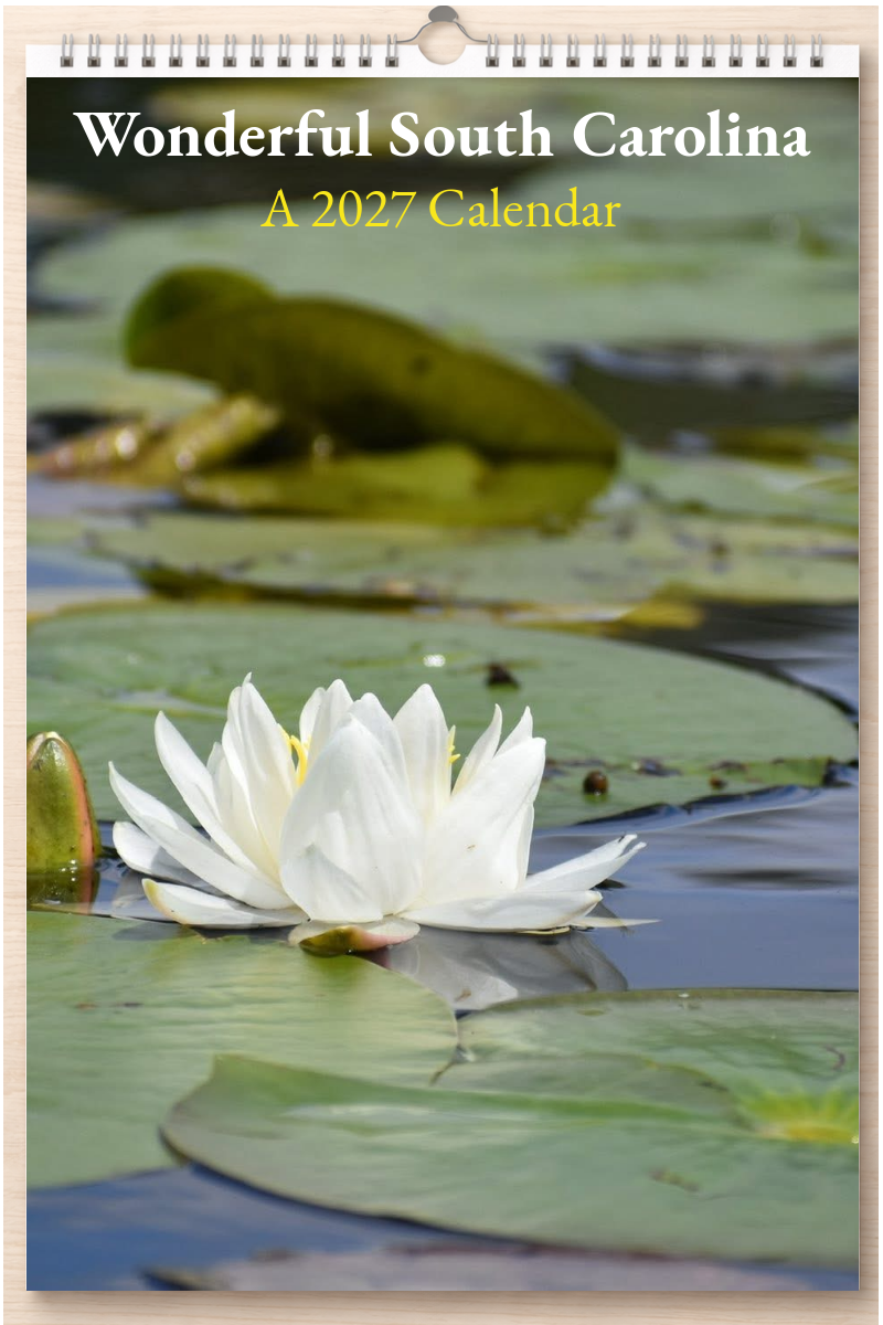 Wonderful South Carolina: A 2027 Calendar