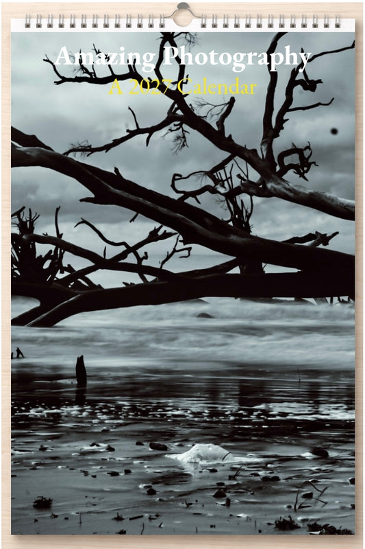 Amazing Photography: A 2027 Calendar