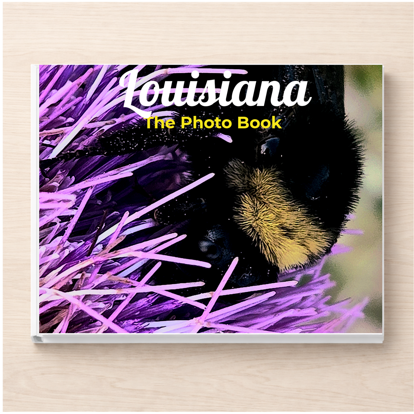 Louisiana: The Photo Book