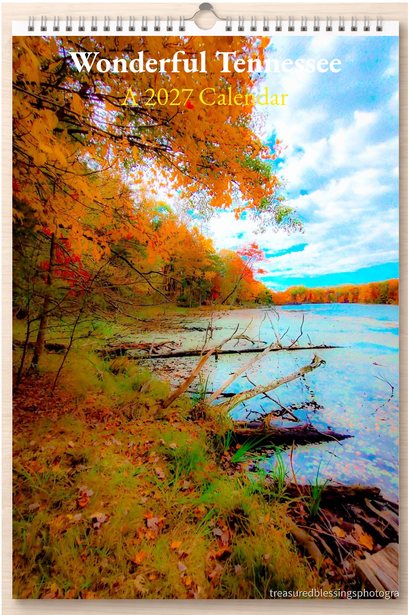 Wonderful Tennessee: A 2027 Calendar