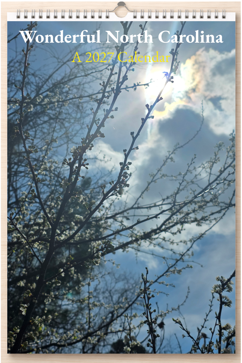 Wonderful North Carolina: A 2027 Calendar