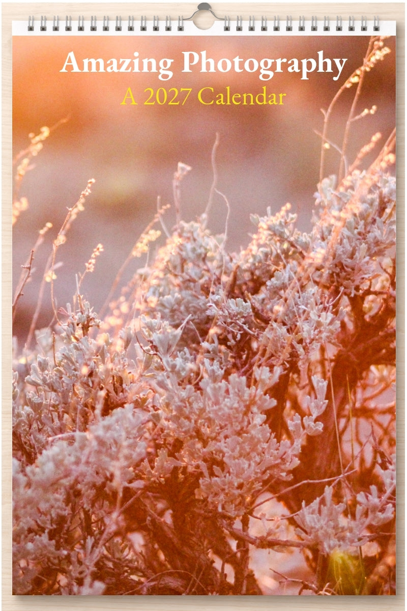 Amazing Photography: A 2027 Calendar
