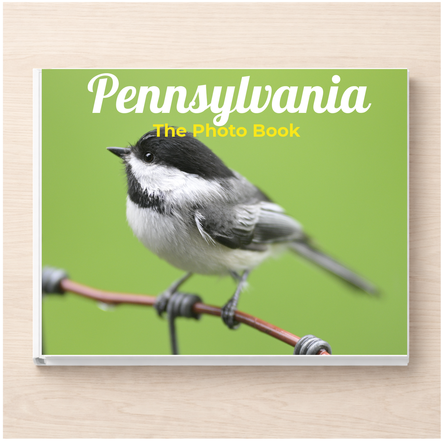 Pennsylvania: The Photo Book