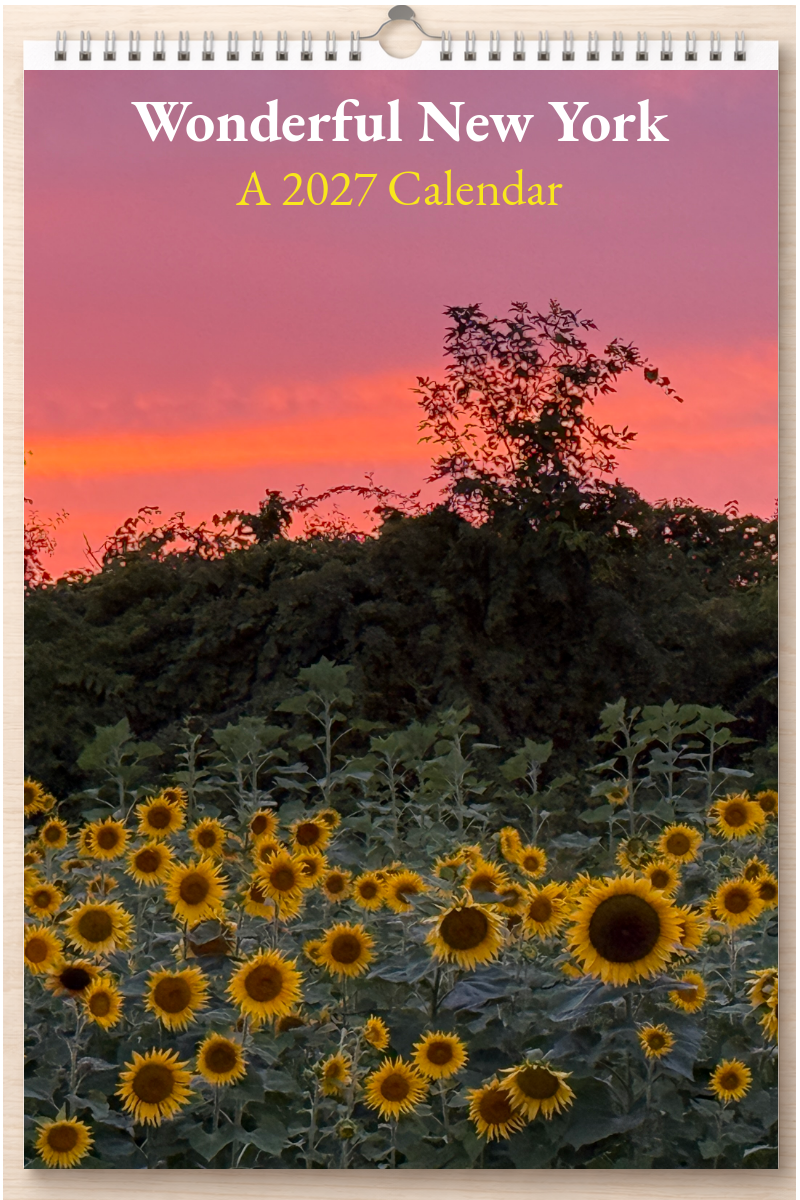 Wonderful New York: A 2027 Calendar