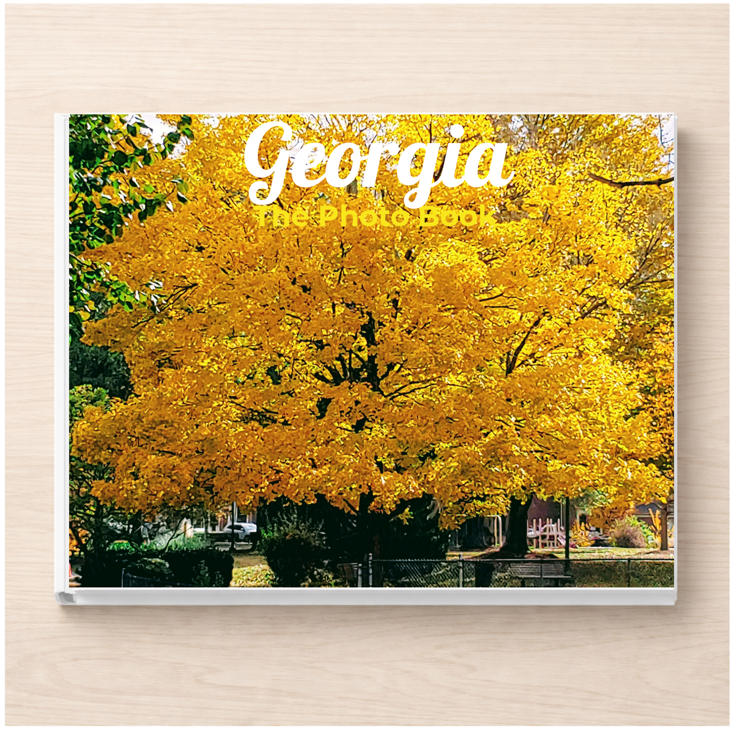 Georgia: The Photo Book