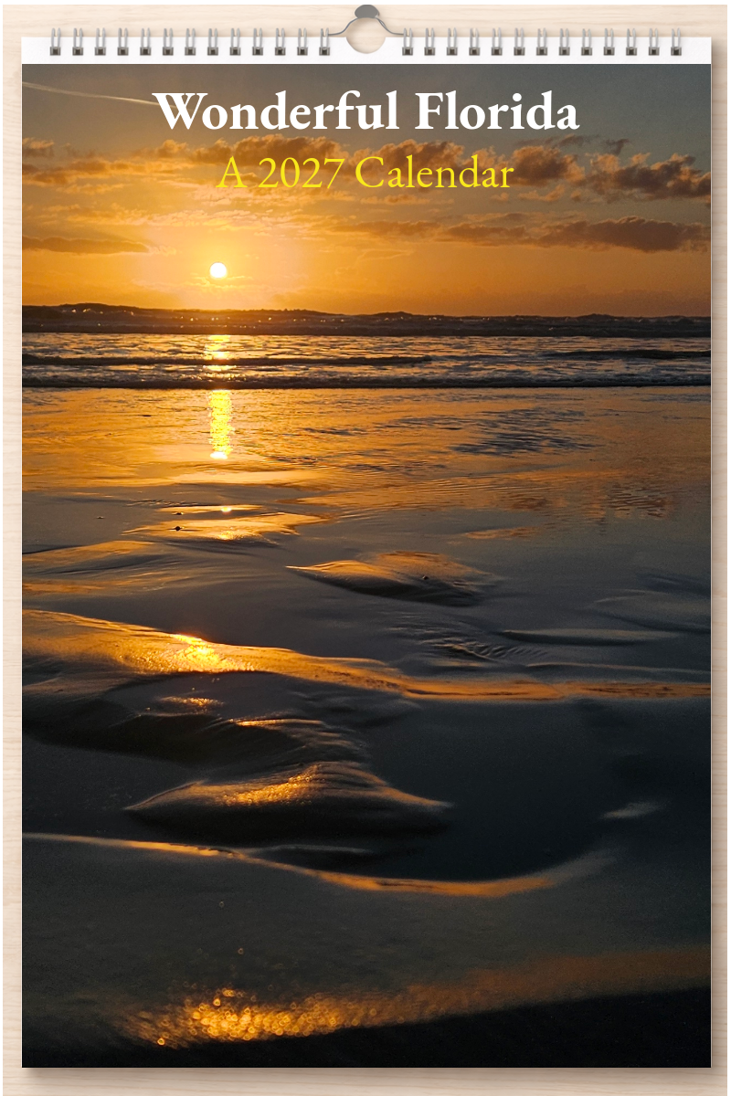 Wonderful Florida: A 2027 Calendar