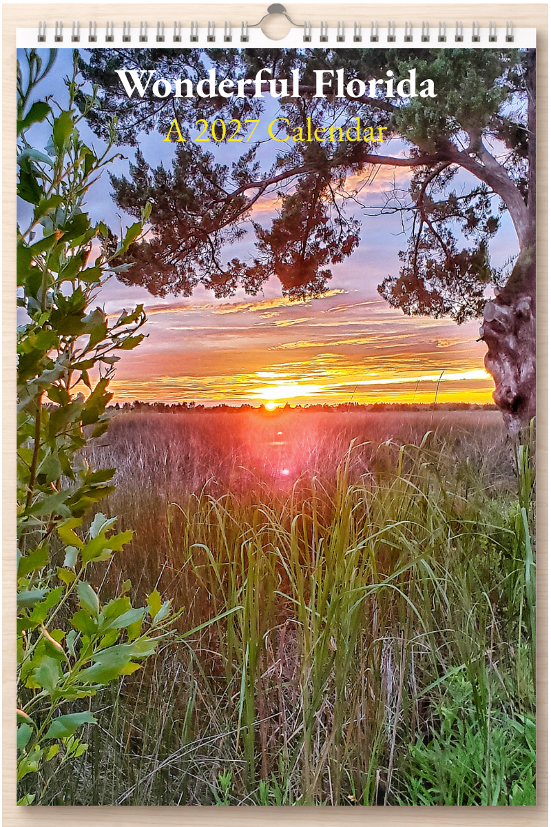 Wonderful Florida: A 2027 Calendar