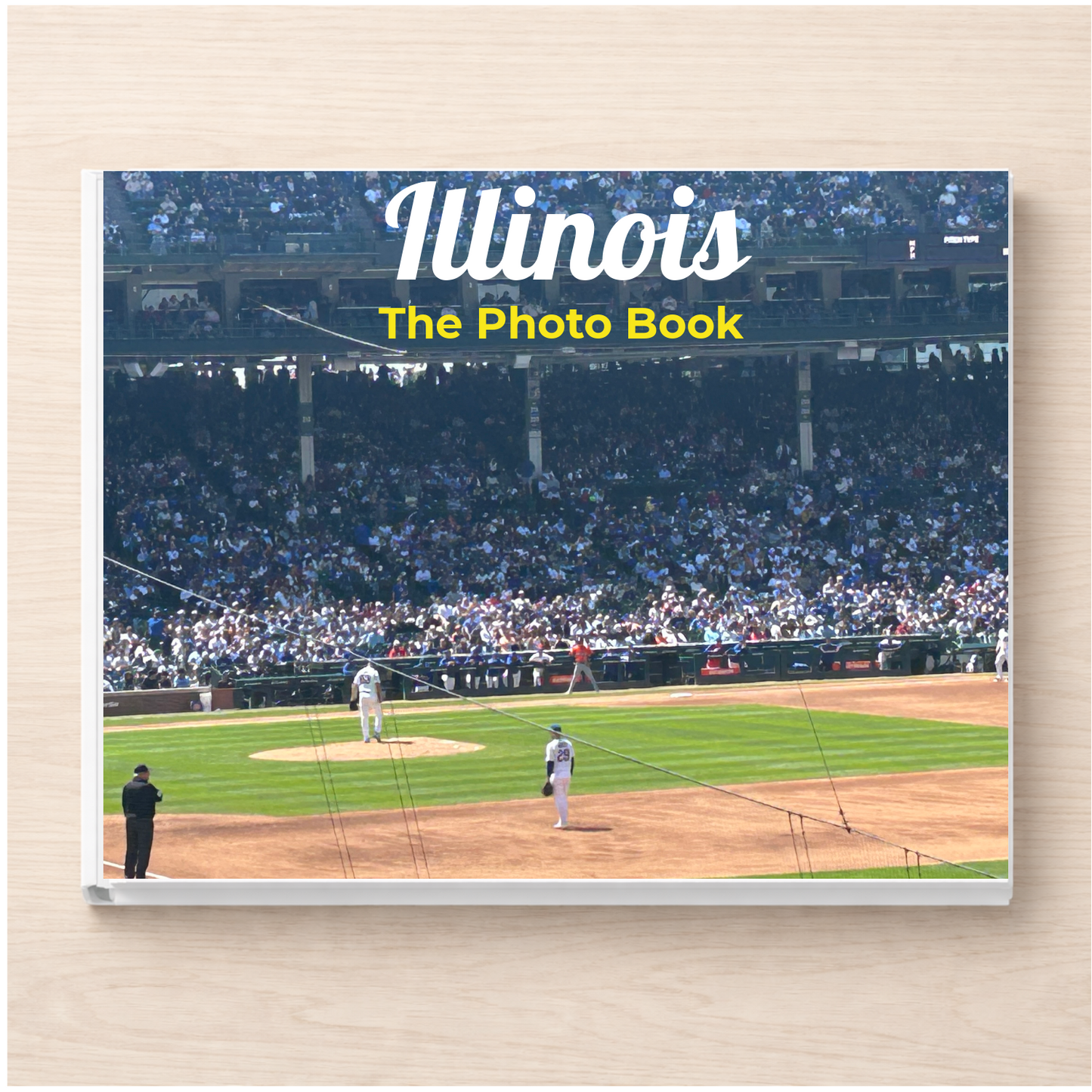 Illinois: The Photo Book