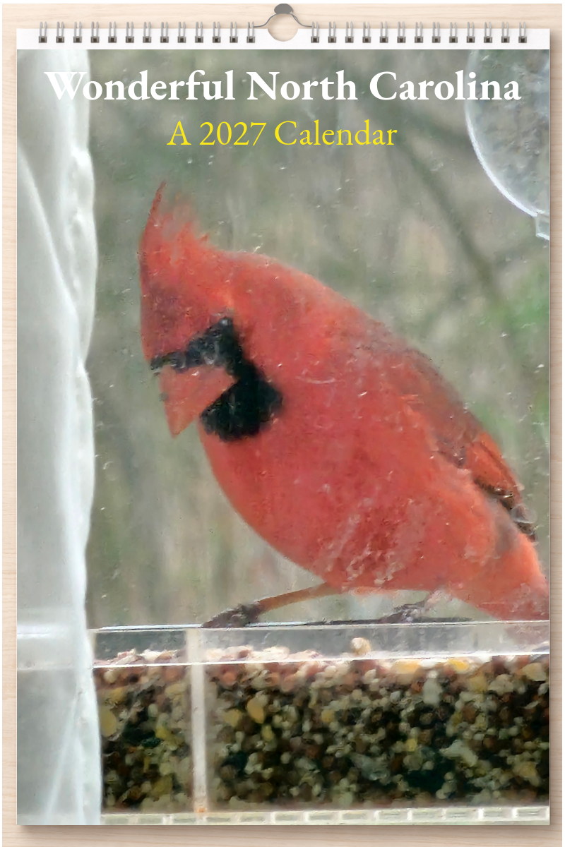 Wonderful North Carolina: A 2027 Calendar