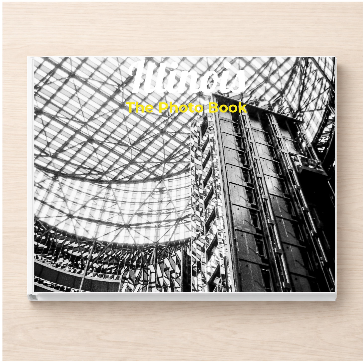 Illinois: The Photo Book