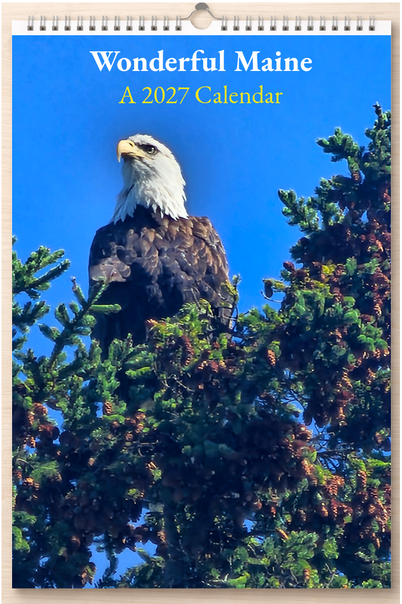 Wonderful Maine: A 2027 Calendar