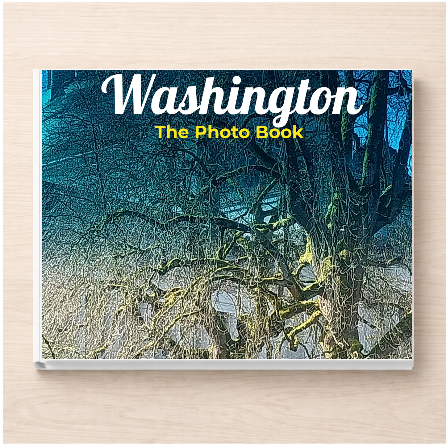 Washington: The Photo Book