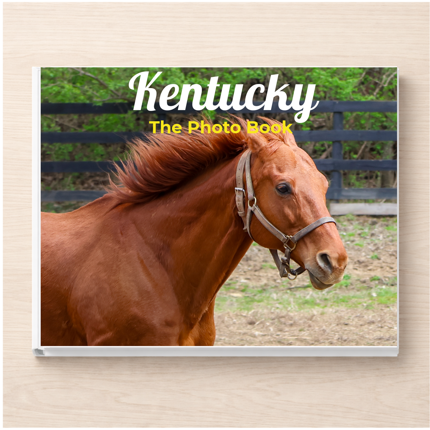 Kentucky: The Photo Book
