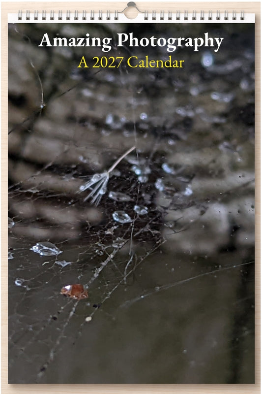 Amazing Photography: A 2027 Calendar