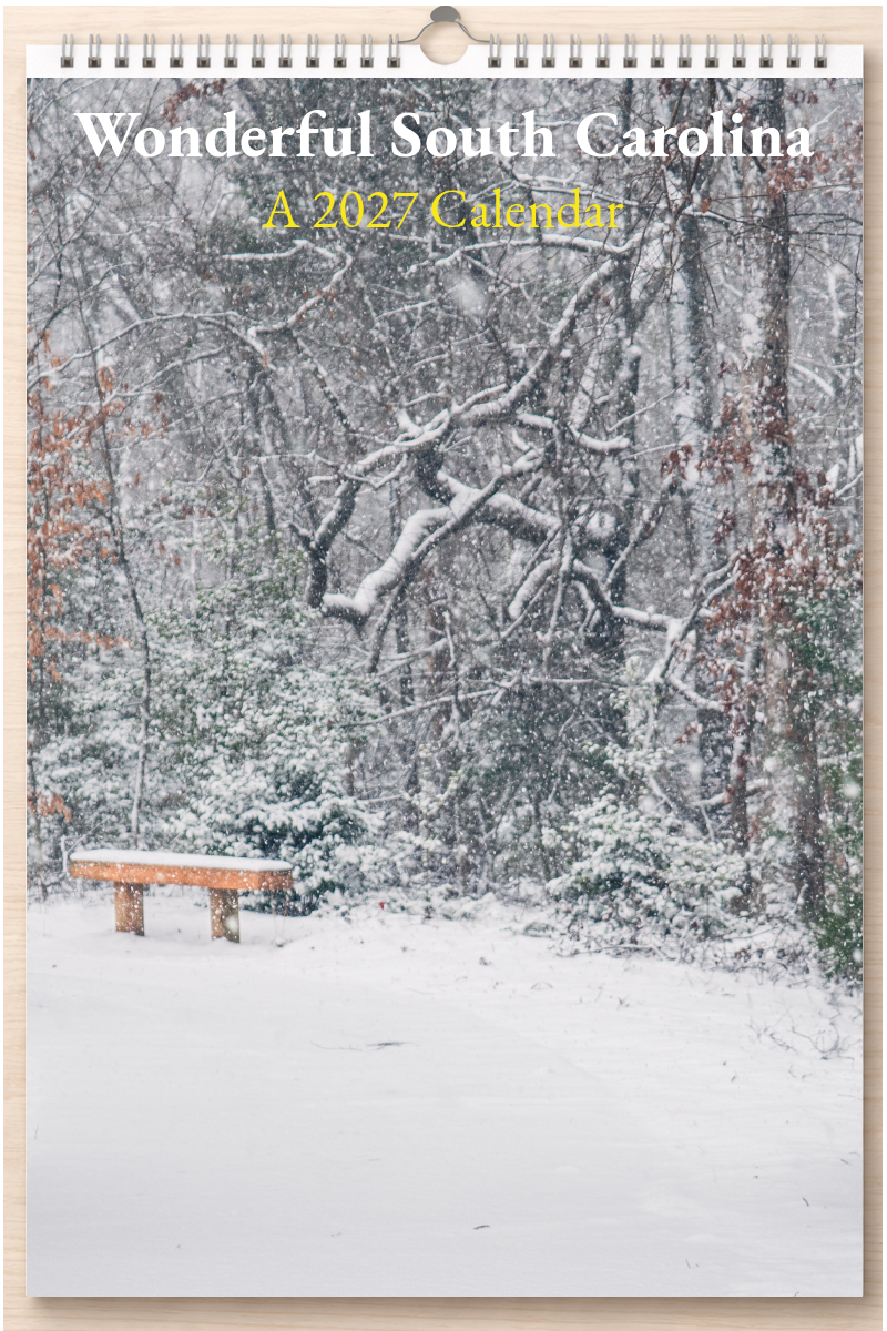 Wonderful South Carolina: A 2027 Calendar