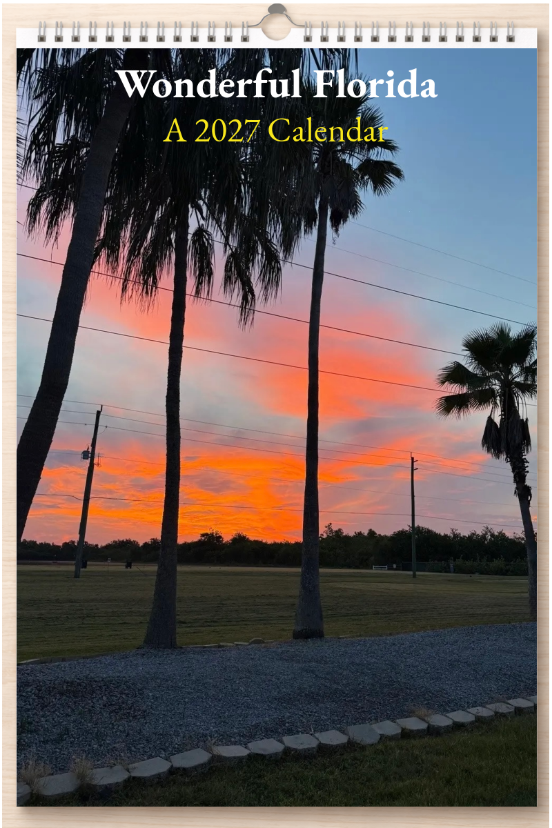 Wonderful Florida: A 2027 Calendar