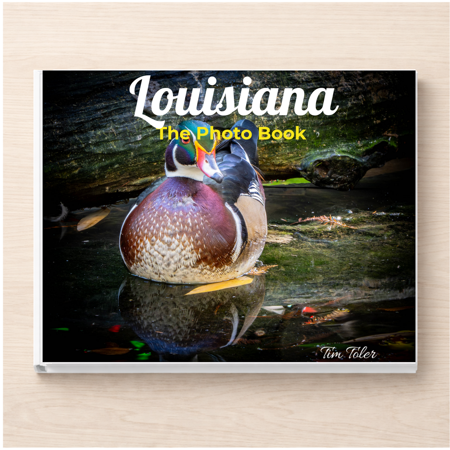 Louisiana: The Photo Book