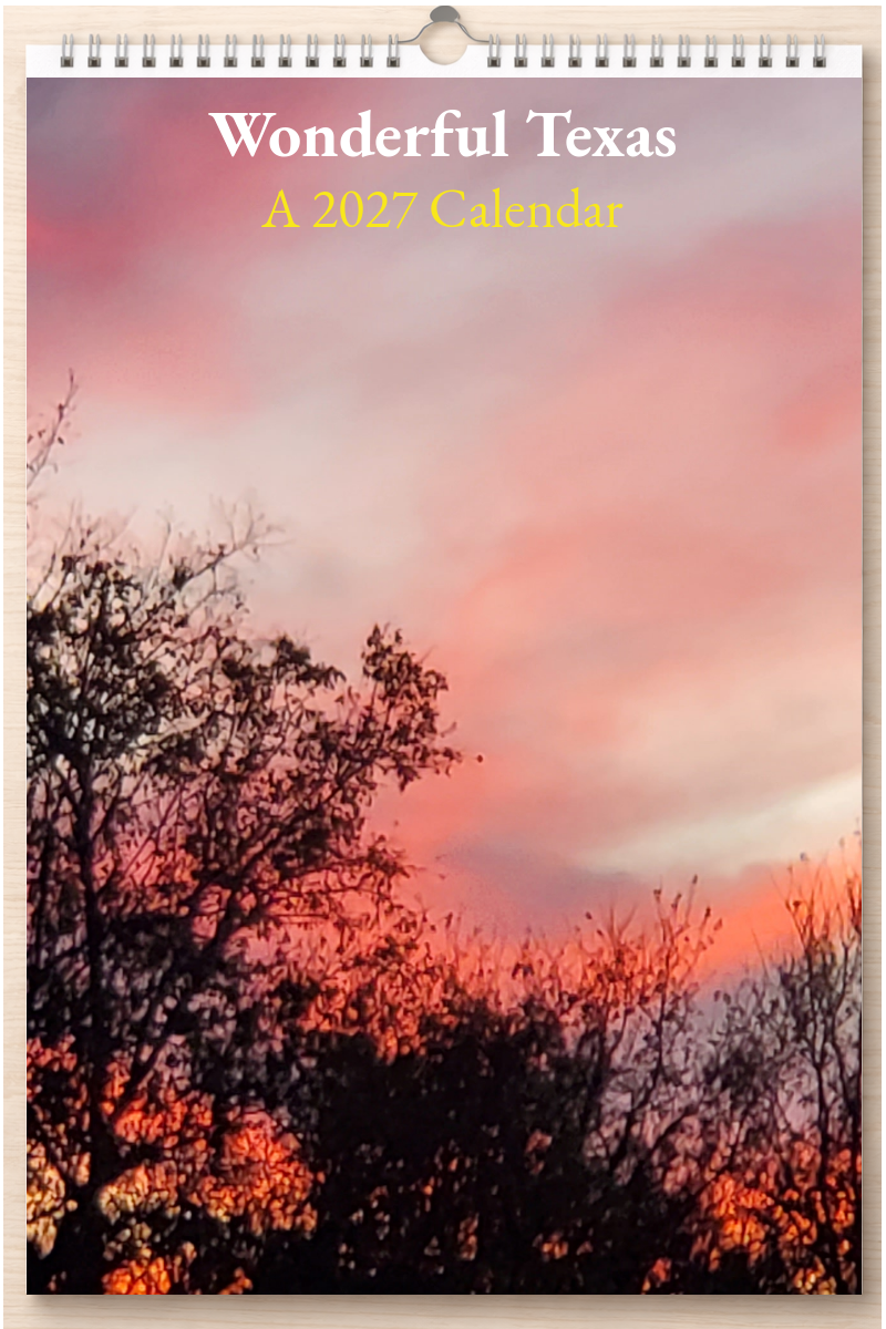 Wonderful Texas: A 2027 Calendar